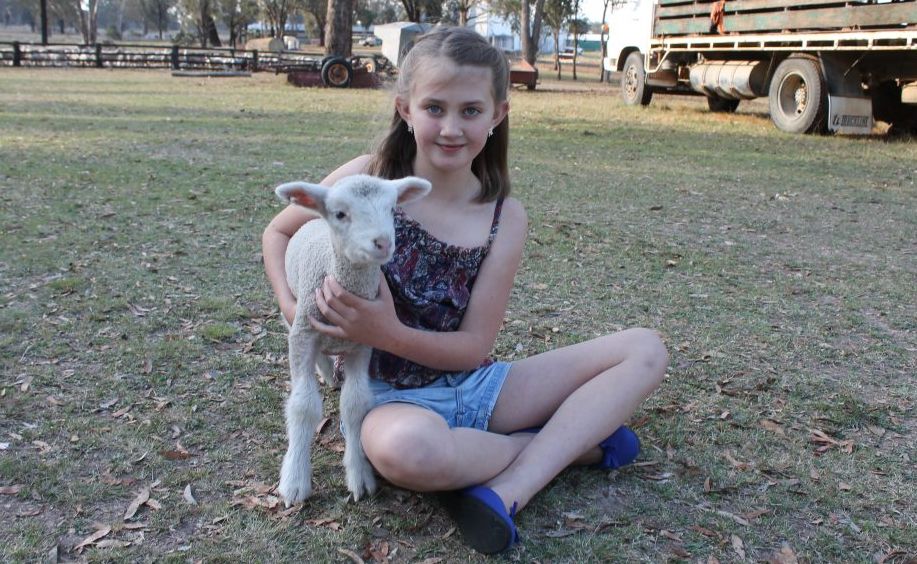 IN THE PADDOCK: Miss Country Girl Australia entrant Jordan Cassidy with her pet lamb Stu at their Dalveen home. Photo Linden Morris / Stanthorpe Border Post